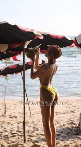 trans girl tsthbkk 5589492