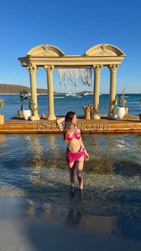 trans girl VALERIA1 3164018 trans girl VALERIA1 3164018