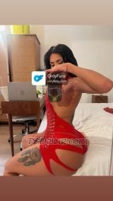 VALE XOXO Barcelona Transex Finally in Barcelona 
Amazing body and incredibly pretty for the 1st time in BARCELONA 
Instagram _> Michellswift.Hernandez 
Hey babys my name is valentina from colombia. 23 year

!  I am a versatile girl, I really like sex.
I also do relaxing massages
I like sports, healthy living, all my photos are real
If you want to live a unique experience, I invite you with me. call me!