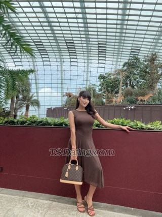 trans girl Valeriadoll 2983439 trans girl Valeriadoll 2983439