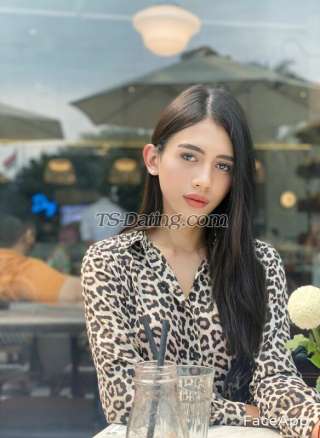 trans girl Vanesh 3152517 trans girl Vanesh 3152517