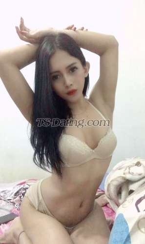 trans girl Vanesh 3153589 trans girl Vanesh 3153589