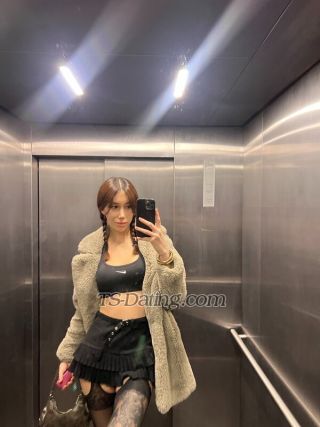 trans girl Vanessa19 2348446