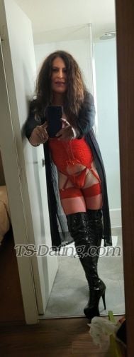 trans girl Vanessa6565 1365379