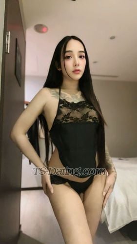trans girl Vanessa6969 3218013 trans girl Vanessa6969 3218013
