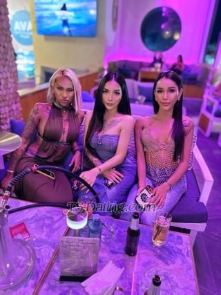 trans girl Vanessa6969 6950545 trans girl Vanessa6969 6950545