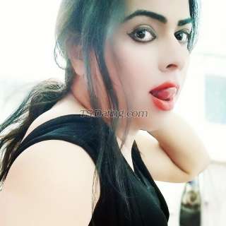 trans girl Vanigill 4021983 trans girl Vanigill 4021983