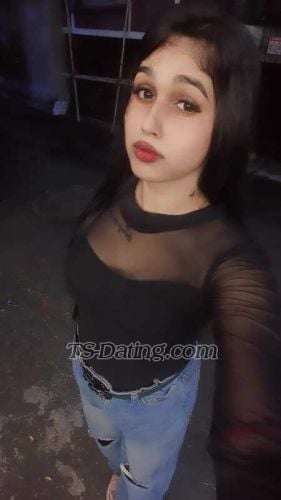 transsexual escort / Vanisen21 / India