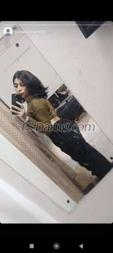 trans girl Vanshikats 3706980 trans girl Vanshikats 3706980