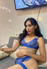 Vegaescort1 Jakarta Transex Bonjour, je suis Vega, ... Je suis très sympathique et privé, si vous êtes intéressé, vous pouvez me contacter au 088905051593