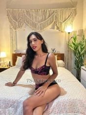 Vegaescort1 Jakarta Transex Здравствуйте, я Вега, ... Я очень дружелюбная и скрытная, если вам интересно, вы можете связаться со мной по телефону 088905051593