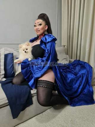 trans girl paula23cm 6801885 trans girl paula23cm 6801885