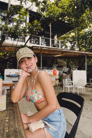 trans girl khudson016 8152403 trans girl khudson016 8152403