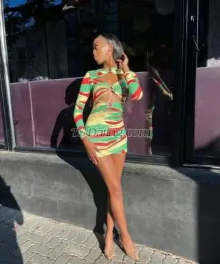 Shemale Versatileshe 1106266 Shemale Versatileshe 1106266