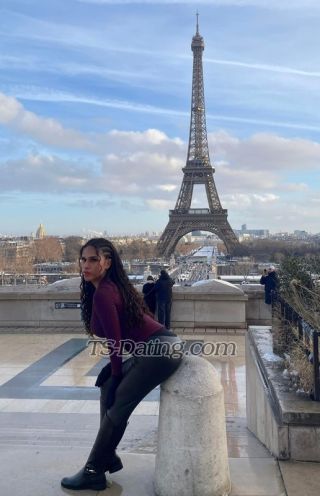 trans girl Vhanessa 5995323 trans girl Vhanessa 5995323