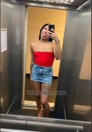 trans girl Vicenciamendo 8023493 trans girl Vicenciamendo 8023493