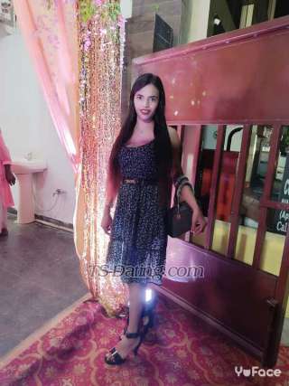 trans girl Vimlatrans girl 0403475 trans girl Vimlatrans girl 0403475