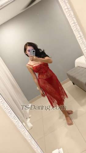 trans girl Vivi85 0321293 trans girl Vivi85 0321293