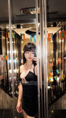 trans girl Vivianrose 3790090