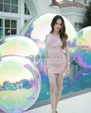 trans girl Vivienekeen 4251406 trans girl Vivienekeen 4251406