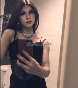 trans girl vanessaWILD1 5029342 trans girl vanessaWILD1 5029342