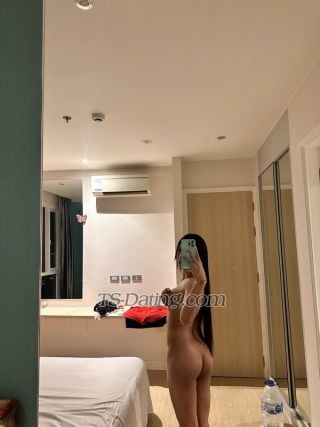 trans girl venusbeauty12 3556128 trans girl venusbeauty12 3556128