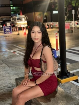 trans girl venusbeauty12 3556530 trans girl venusbeauty12 3556530