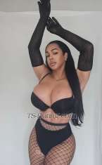 victoria victoriahot victoriahot Krakow Transex OFF HORMONES.100% FUNCTIONAL 
I'll be waiting for
you in beautiful, hot lingerie.I am 100% real please can you
check my Review I’m top and bottom 9 inch 🍆
GFS,TOP&BOTTOM, DOMINATION, MASSAGE, ECT
OUTCALL⭐️⭐️⭐️⭐️⭐️ (HALF
DOMINATION REQUIRED) 
RECENTLY
PICTURES⭐️⭐️⭐️⭐️⭐️
SAME DAY
APPOINTMENT 
WhatsApp VERIFICATION IS  REQUIRED
ATTENTION ( Don't waste your time if you don't verify
yourself)
I guarantee you an unforgettable
experience
Here is the goddess you
were looking for, a living doll with a large endowment and a
big butt so you can enjoy a magnificent, elegant and super
sophisticated service for any moment, do not hesitate to
contact me, you will not regret this wonderful experience.