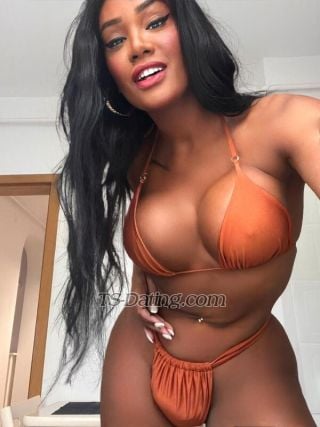 trans girl vivi23cm 3671437