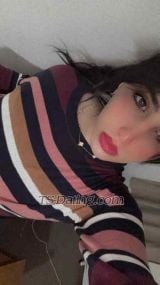 Sonia Wattan Wattan Auckland Transex Hi I am Sonia arabian and available in Jordan Amman