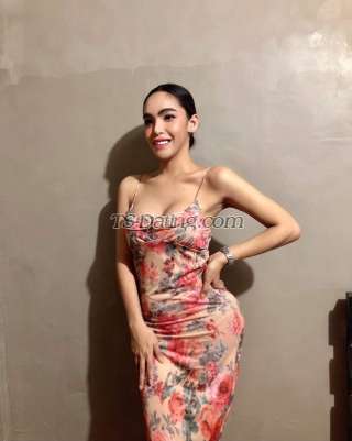 trans girl WifeMaterial 4537594 trans girl WifeMaterial 4537594