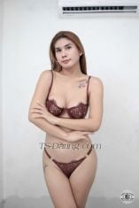 WildCelestixx Manila Transex New girl in town Just landed!
Alluring Goddess is here to fulfill your fantasy! 
I am your Wild Celesti 🔥ready to get wet and wild! Be ready to be owned and to worship the big cock in the city!  Willing to do everything to satisfy your cravings. Let's make your dreams into reality Alluring Girlfriend that your looking for finally here 
A Girlfriend Material A lovely Mistress And Sweet Innocent girl in one body 💦
😈Big cock full of load that is hard as rock👿
I can be your top, your bottom and Versatile
after the tiring session, you can get a complimentary massage! 
✔️Cam Show
✔️ Sexting Pics and vids
✔️ Feminization
✔️ SPH
✔️ Domination, Humiliation
✔️ Costumes, Lingerei 
✔️BDSM

you can video call me first to verify!
Dont ask nudes or else block
🛑Payment first policy!🛑

Whatsapp me: +639284085025
Telegram me: LoveCelestiXX
WeChat: wildcelestixxx

