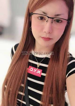 trans girl WildCrissy 5439453 trans girl WildCrissy 5439453