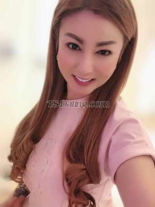 trans girl WildCrissy 5439482 trans girl WildCrissy 5439482