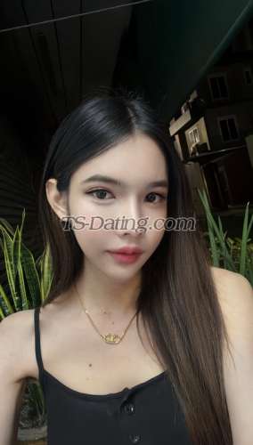 trans girl Winsnowblack 7813301 trans girl Winsnowblack 7813301