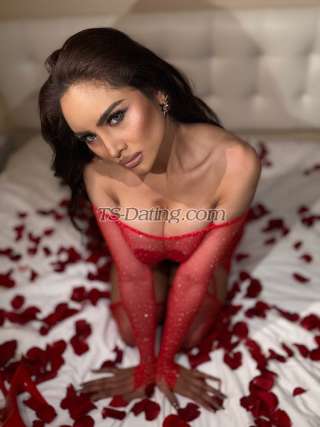trans girl waniwanda93 9473383 trans girl waniwanda93 9473383