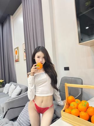 Xingxing 2946256