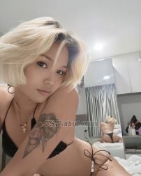 xcocox bangkok  Transex Incontriamoci e divertiamoci insieme. Mettimi alla prova... Ti vizierò!! Farò quello che vuoi🥰 Tutte le mie foto sono reali al 100% Ciò che vedi è ciò che ottieni Contattami ID riga: babyxgirl69 +66917276891 IL MIGLIOR POMPINO E SESSO D'AMORE DISPONIBILE! HO I POPPERS!