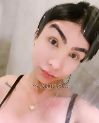 trans girl YasmimDornell 5202586 trans girl YasmimDornell 5202586