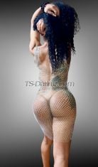 Yohandra Mallorca Transex About meAre you looking to break with the routine?
Experience new pleasures and desires? I am here to please
you with total security, confidentiality and guaranteed
satisfaction!My name is Rous , I’m a transsexual
girl.I’m twenty-five years old, big breasts, long
black hair, brown skin and a beautiful body of eighteen
centimeters.Super hygienic, affectionate and very horny
to please you.I am very complete and I empathize with
everyone making sure that everything is delicious and
unhurried. Exquisite anal sex and an impeccable oral!I
love being dominated in bed, but I also know how to be very
dominant! Always respecting your limits and tastes. Or for
those who prefer it, the bride style. II GUARANTEE AN
INCREDIBLE ERECTION FOR THOSE WHO WANT IT!If you are a
beginner, it is ideal for you! I have experience, patience
and a lot of passion for you.I always try to be the
best at what I do.First-class and differentiated
service.I live and work alone, in one of the best
locations in the city. A high quality place, safe, discreet
and hygienic.I offer clean towels and personal hygiene
products.If you prefer, I am available to go to any
motel in the area. Or even to other cities!I’m going
on a tripI don’t answer calls with
restrictions.I don’t send photos.I don’t
negotiate prices.Exclusively to satisfy you, fulfill
your fantasies and desires.Contact me only if you
really want it, to avoid inconveniences ...Don’t
hesitate to contact me, I’ll be waiting for you