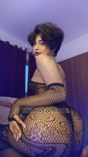 trans girl YoungReyan 4794600 trans girl YoungReyan 4794600