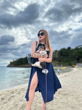 trans girl Yurichang21 9459160 trans girl Yurichang21 9459160