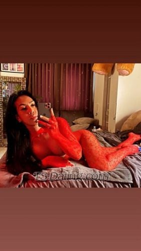 trans girl ZaraTrans 7412602 trans girl ZaraTrans 7412602