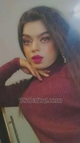 Shemale Zaramalik 9073059 Shemale Zaramalik 9073059