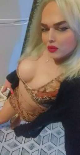 trans girl Zena77 9092621 trans girl Zena77 9092621