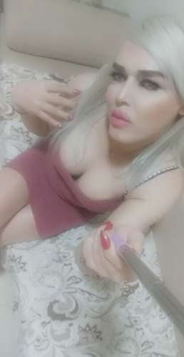 trans girl Zena77 9092641 trans girl Zena77 9092641