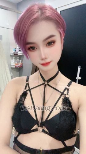 trans girl Zevvi1997 6532732 trans girl Zevvi1997 6532732