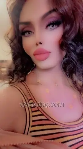 Shemale Zizozain 8771521