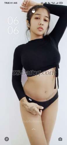 trans girl Zodatrans girl 8455558