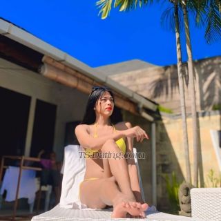 trans girl Zoyasmith 3384283 trans girl Zoyasmith 3384283